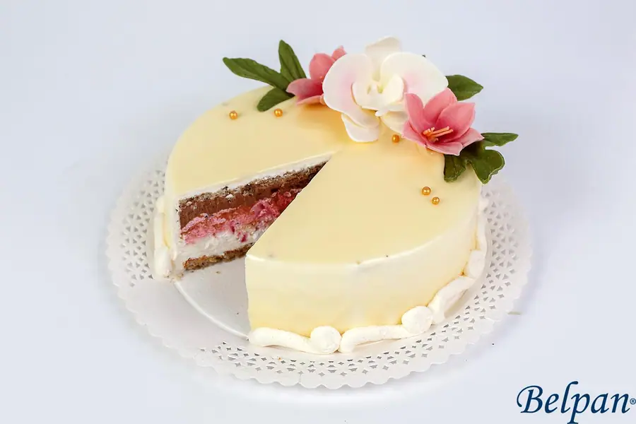 Tort Mousse ciocolată cu afine — Belpan Suceava