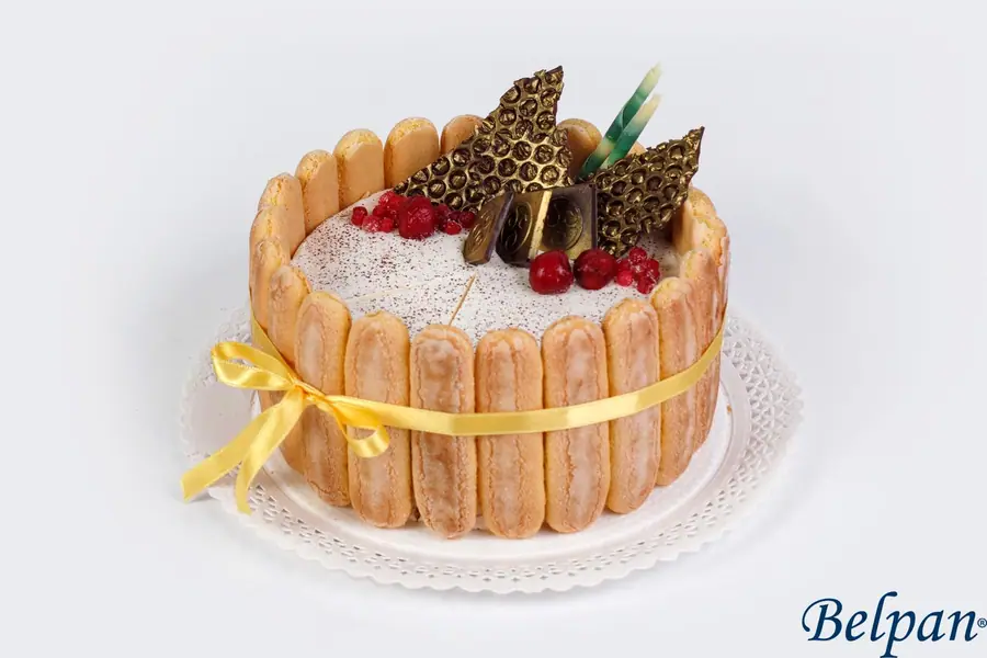 Tort Tiramisu — Belpan Suceava